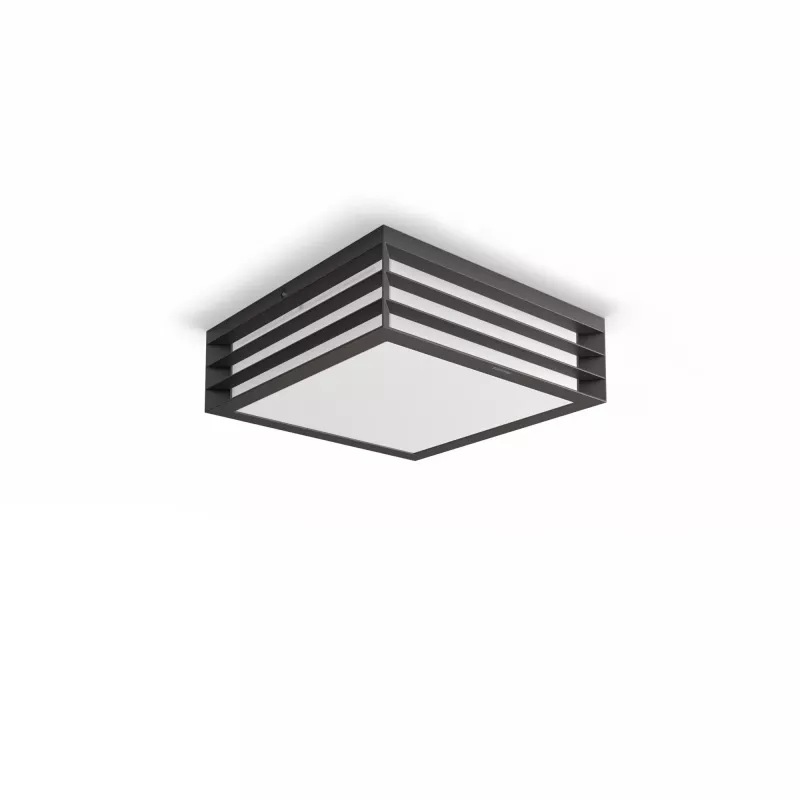 Philips myGarden Moonshine lubinis šviestuvas 28W E27 be lemputės, lauko sieninis šviestuvas, antracitas, aliuminis, sintetika, IP44, sodui, terasai, II klasė