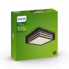 Philips myGarden Moonshine lubinis šviestuvas 28W E27 be lemputės, lauko sieninis šviestuvas, antracitas, aliuminis, sintetika, IP44, sodui, terasai, II klasė