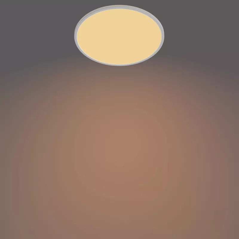 LED lubinis šviestuvas Philips Functional Super Slim 22 W baltas apvalus