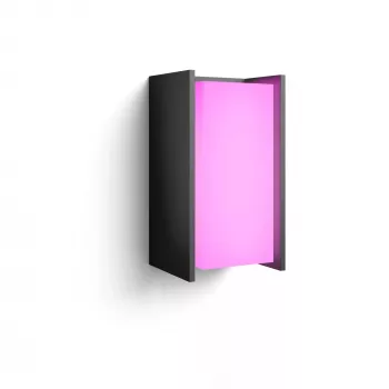 Signify Philips Hue Turaco lauko sieninis šviestuvas – balta ir spalvota šviesa, antracitas, Bluetooth/Zigbee, aliuminis