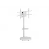 TECHLY Grindinis stovas su vežimėlio lentyna LCD/LED/Plasma TV 37-86 colių Baltas