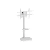 TECHLY Grindinis stovas su vežimėlio lentyna LCD/LED/Plasma TV 37-86 colių Baltas