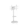 TECHLY Grindinis stovas su vežimėlio lentyna LCD/LED/Plasma TV 37-86 colių Baltas
