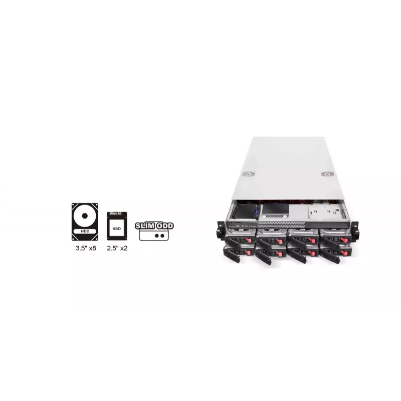Dėklas HDD Silverstone RM22-308 2.5/3.5 colio 10 vietų Juoda Balta