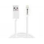 SANDBERG 440-94 SANDBERG laidas USB>Lightning 2M AppleApproved