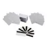 Zebra Premier Plus - Polyvinylchlorid (PVC) - 100 Karte(n) Karten (Packung mit 5)