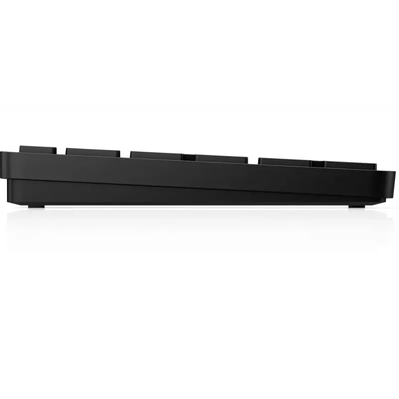 Belaidė pilno dydžio programuojama klaviatūra HP 450 – RF belaidė + USB, juoda