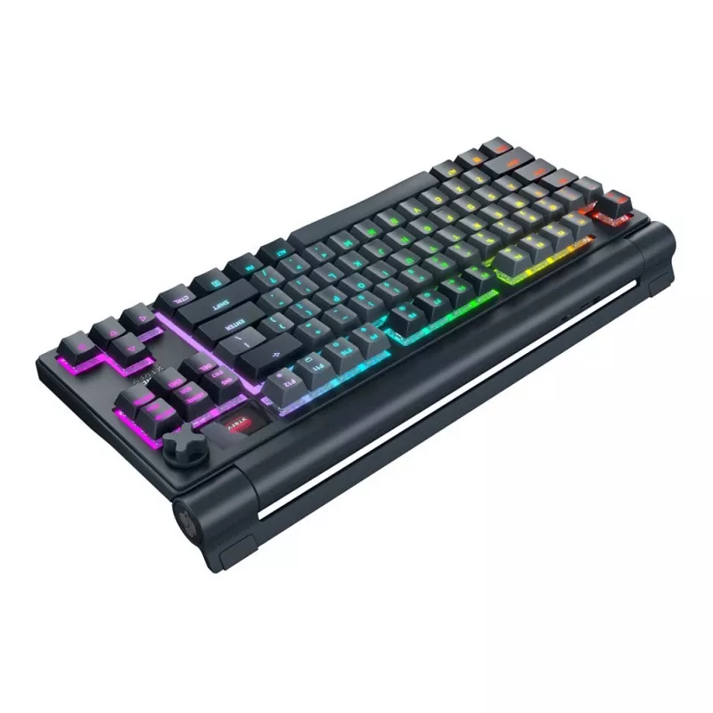 Mechaninė klaviatūra CHERRY MX 8.3 Wireless RGB Red Switch FR, belaidė, MX Red jungikliai