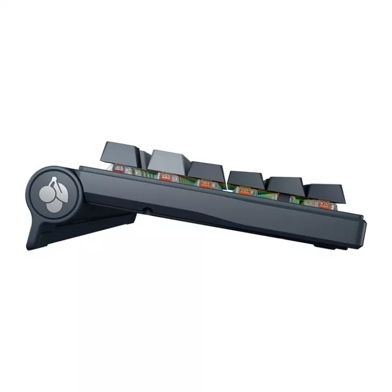Mechaninė klaviatūra CHERRY MX 8.3 Wireless RGB Red Switch FR, belaidė, MX Red jungikliai