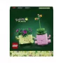 LEGO Botanicals Siūbuojantys Augalai 11506