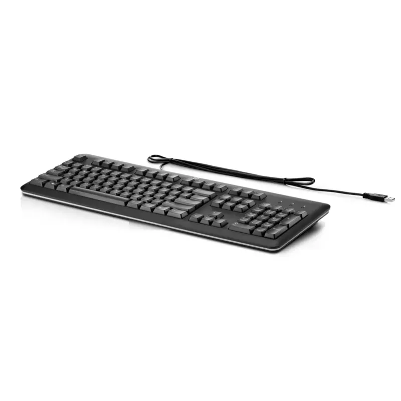 HP USB klaviatūra kompiuteriui, pilno dydžio, laidinė USB, juoda, QY776AA#ABE