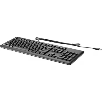 HP USB klaviatūra kompiuteriui, pilno dydžio, laidinė USB, juoda, QY776AA#ABE