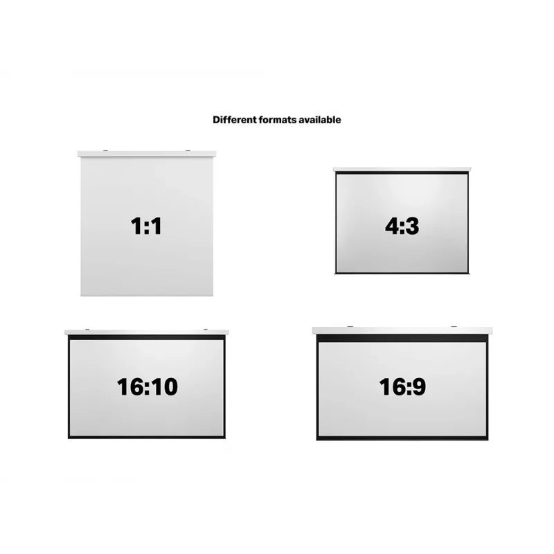 Motorizuotas projektorinis ekranas MULTIBRACKETS M 16:9 135 col. (300x168) matinė balta