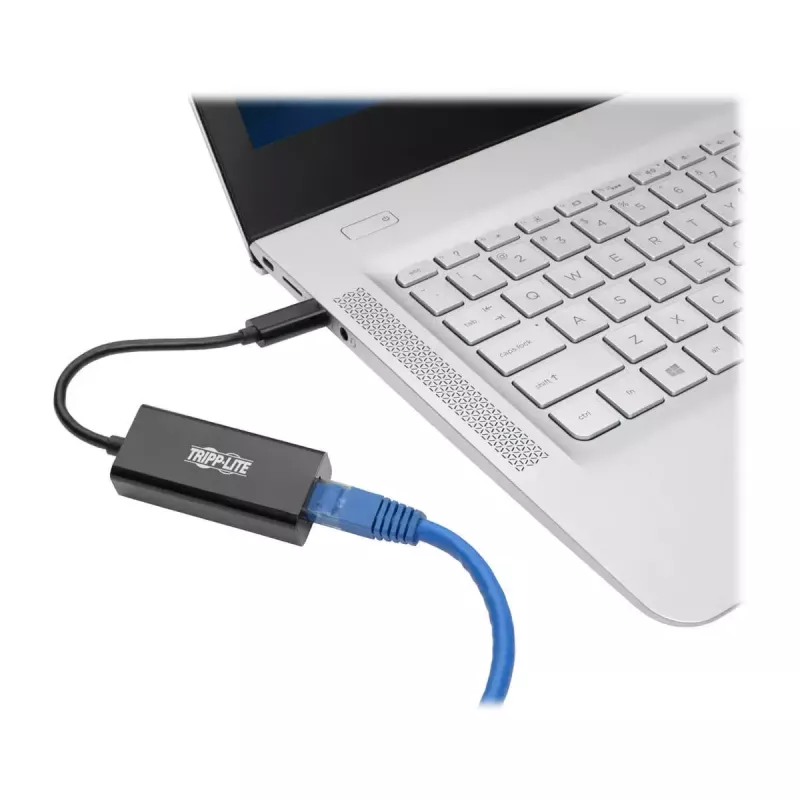 USB-C į Gigabit tinklo adapteris Tripp Lite U436-06N-GB juodas