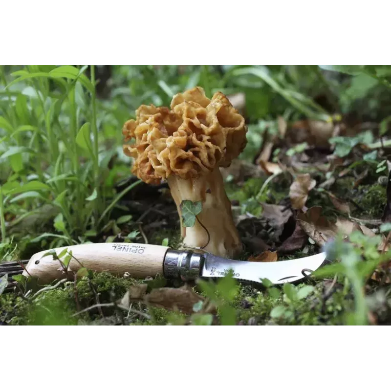 Kišeninis peilis Opinel