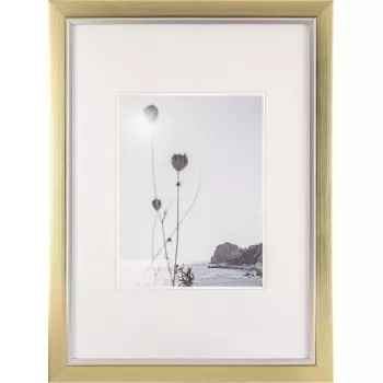 Foto rėmelis Walther Beyond A3 29,7×42 cm derva šampano/aukso spalvos