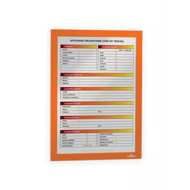 Magnetinis rėmelis A4 Durable DURAFRAME Oranžinis