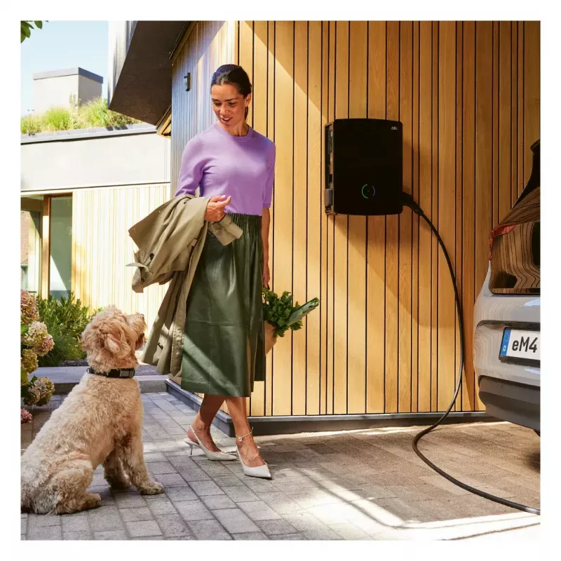 ABL eM4 Twin Black sieninė elektromobilių įkrovimo stotelė 22 kW, 2x Type 2, lauko