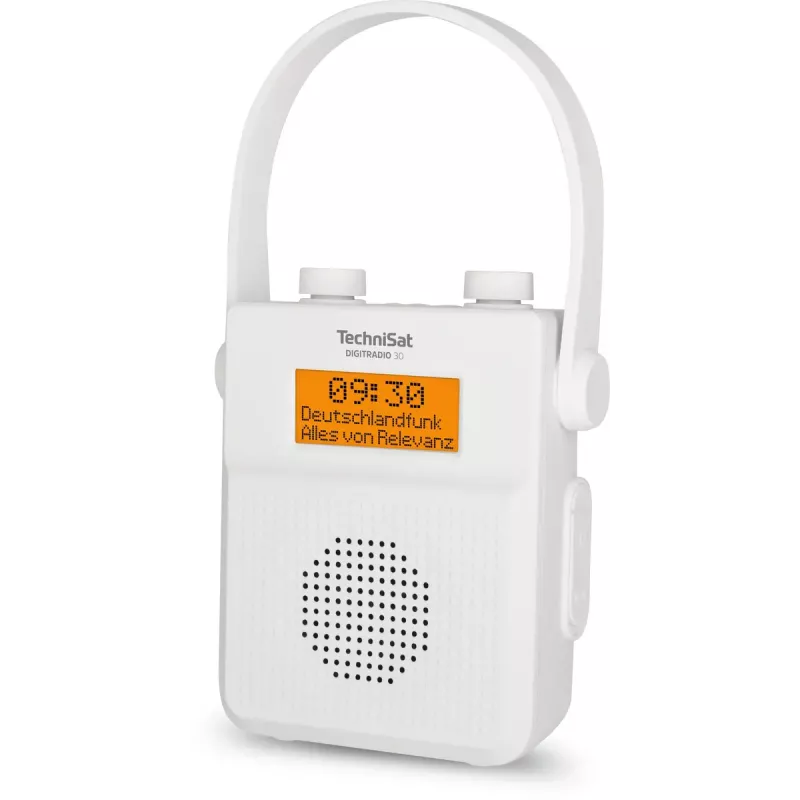 Nešiojamas radijo imtuvas TechniSat DIGITRADIO 30 - V2 analoginis ir skaitmeninis DAB+ FM
