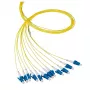 Skiemeninis optinis kabelis EFB Elektronik O0480.2 2 m LC geltonas