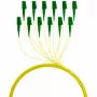 EFB Elektronik FTTH-PIGTAIL-LCA1 2 m LC/APC 6x LC OS2 šviesolaidinis pynimo kabelis