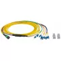 Skaidulinis optinis kabelis EFB Elektronik MTPF08LCOS2-2 2 m
