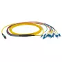 Skaidulinis optinis kabelis EFB Elektronik MTPF12LCOS2-2