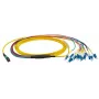 Skaidulinis optinis kabelis EFB Elektronik MTPF12LCOS2-3