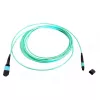 Skaidulinis MTP kabelis EFB Elektronik MTPF12MTPFOM3-5-A — OM3, 50 µm, 5 m, Aqua