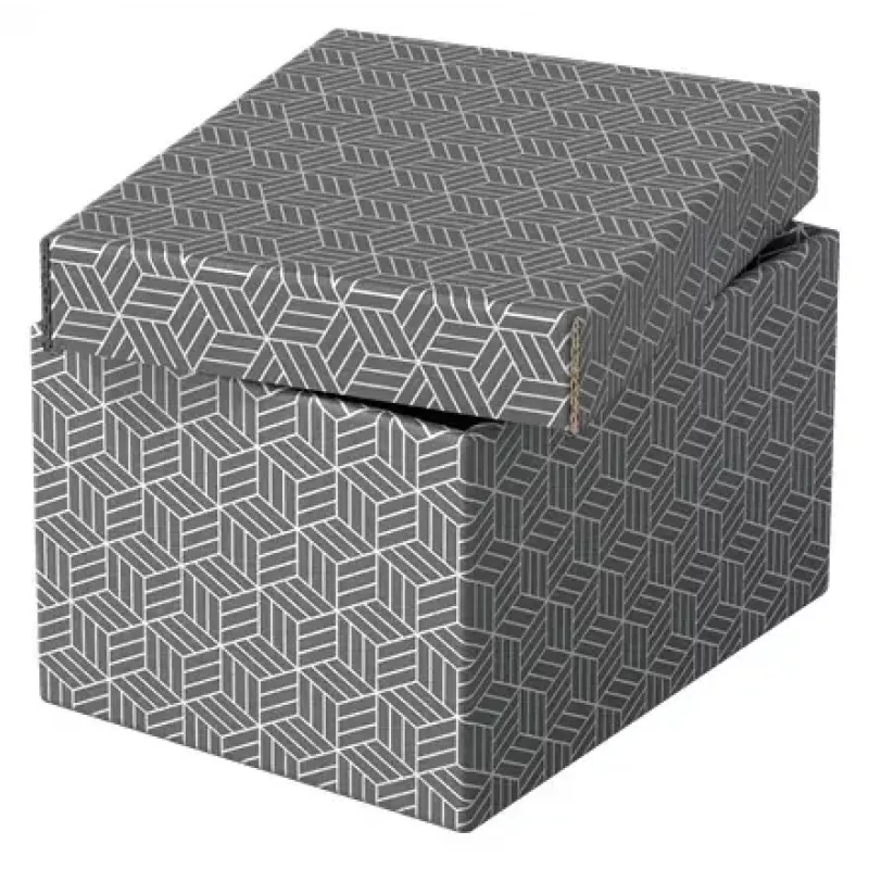 Dėžutė saugojimui Esselte 628281 Pilka Stačiakampė 200x255x150 mm