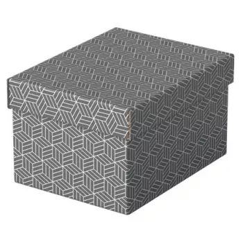 Dėžutė saugojimui Esselte 628281 Pilka Stačiakampė 200x255x150 mm