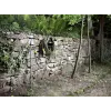 Žarna Kärcher Performance Plus 3/4 colio - 50 m