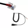 RJ kabelis GEQUDIO suderinamas su Yealink, Snom, Avaya, Grandstream WA9402