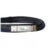 BlueOptics PAN-QSFPDD-DAC-1M-BL QSFP-DD InfiniBand 1 m juodas DAC kabelis