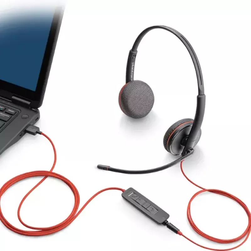 Ausinės POLY Blackwire C3215