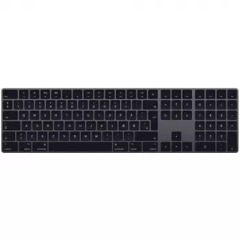 Apple Magic Keyboard universal Bluetooth QWERTY daniškas pilkas
