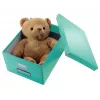 Laikymo dėžė Leitz Click & Store Medium turkio spalvos