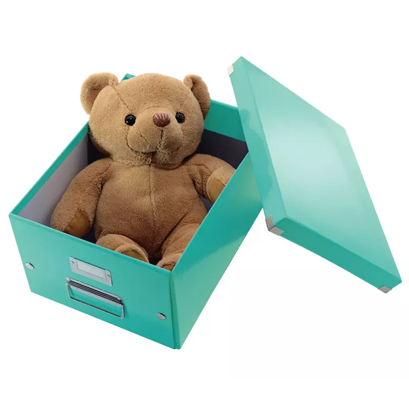 Laikymo dėžė Leitz Click & Store Medium turkio spalvos