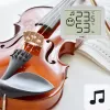 Vidaus temperatūros ir drėgmės jutiklis TFA-Dostmann 30.5055.02 belaidis