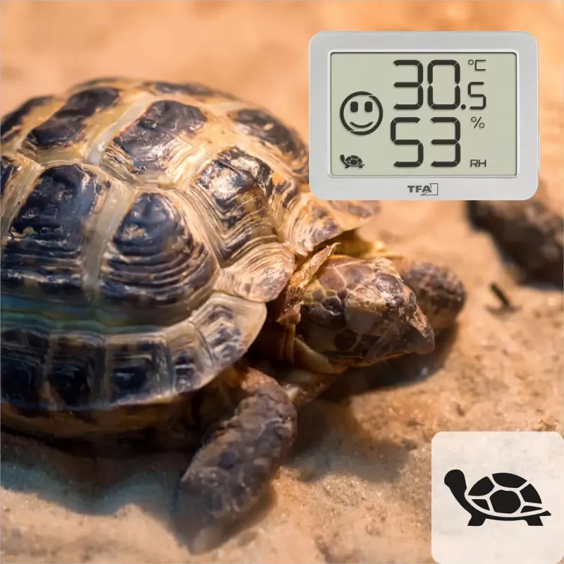 Vidaus temperatūros ir drėgmės jutiklis TFA-Dostmann 30.5055.02 belaidis