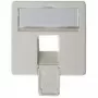 Telegartner rozete 50×50 mm skirta AMJ45 8/8 UP/O, alpinė balta