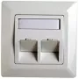 Rėmelis RJ45 adapteriui Cat.5e Telegärtner H02010A0040 45° dvigubas 80x80 mm alpinė balta