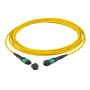 Skaidulinis optinis kabelis EFB Elektronik MTPF24MTPFOS2-5-A MTP OS2 5 m geltonas