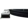 BlueOptics XQ+DA0002-BL InfiniBand šviesolaidinis kabelis 2 m QSFP28 Kištukas Kištukas