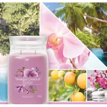 Yankee Candle Wild Orchid žvakė 157 mm aukščio 93 mm pločio
