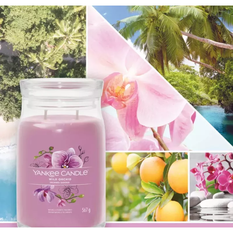 Yankee Candle Wild Orchid žvakė 157 mm aukščio 93 mm pločio
