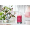 Kvapioji žvakė cilindras Yankee Candle 1724404E aukštis 149 mm skersmuo 9,9 cm
