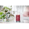 Kvepianti žvakė Yankee Candle 1724478E Cherry Red 149mm 567g