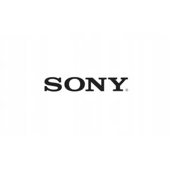 Originalus Sony SPRO LK1_M49_L43 A2179428A modulis – atsarginis elektroninis modulis