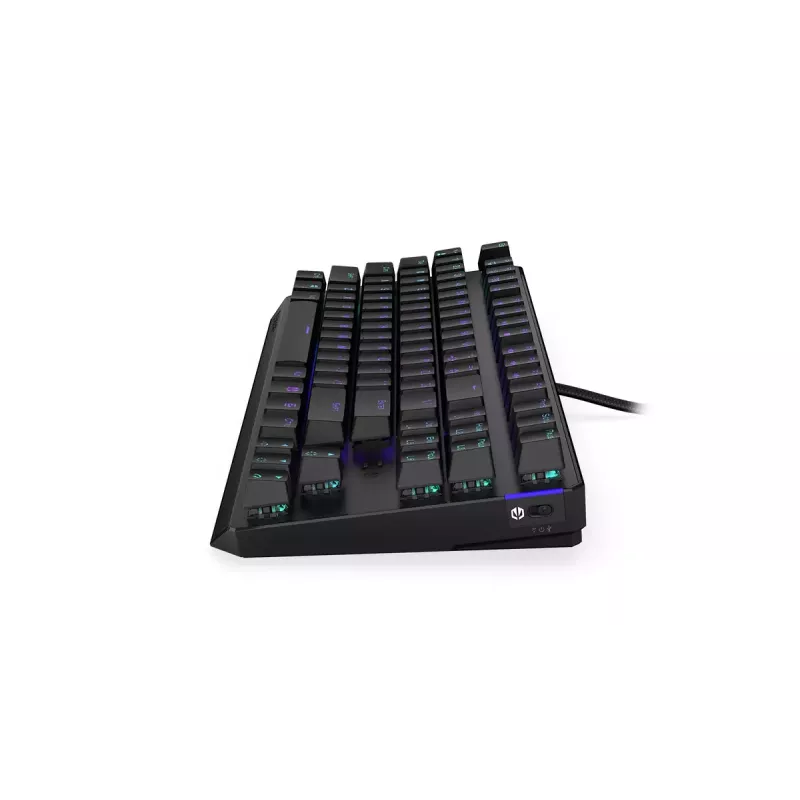 Belaidė klaviatūra ENDORFY Thock TKL Wireless Black Mechaninė RGB LED 87 klavišų
